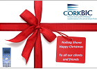 CorkBIC December Newsletter